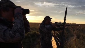 Охота на муфлона в Аргентине. Moufflon hunting in Argentina Орсис 300WSM