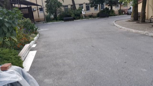 VID_20240819_070139