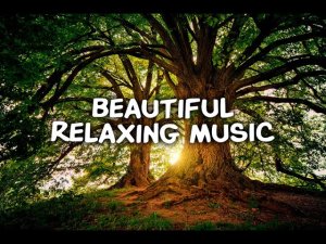 РАССЛАБЛЯЮЩАЯ МУЗЫКА ? МЕДЛЕННАЯ МУЗЫКА ПОМОЖЕТ ВАМ РАССЛАБИТЬСЯ