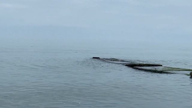 22.05.2023. Погода в Сочи в мае.Смотри на Чёрное море каждый день.