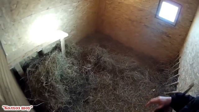 Теплое помещение для коз своими руками