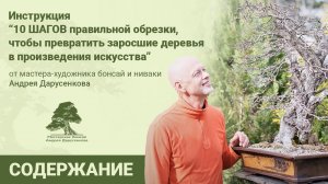 10 шагов правильной обрезки заросших деревьев