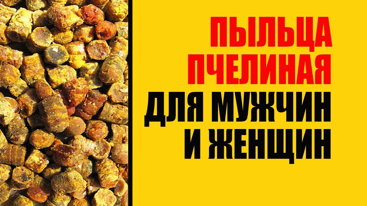 Пыльца Пчелиная. Подробное описание