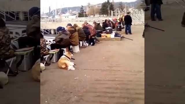 Море...Рыбалка... Туапсе ..