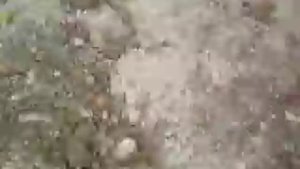 Строим дом на сваях