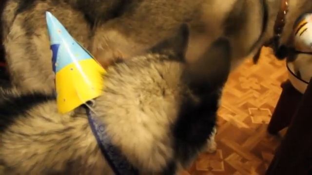 29 Октября - День Рождения Атика. смотреть онлайн