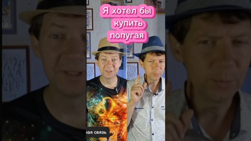 Я хочу купить попугая #юмор