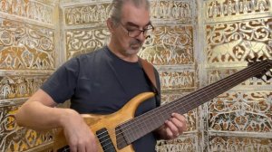 Musical Musings from the Bassment: MTD 6-string Fretless Korina/Wenge (46): bass groove & bass solo