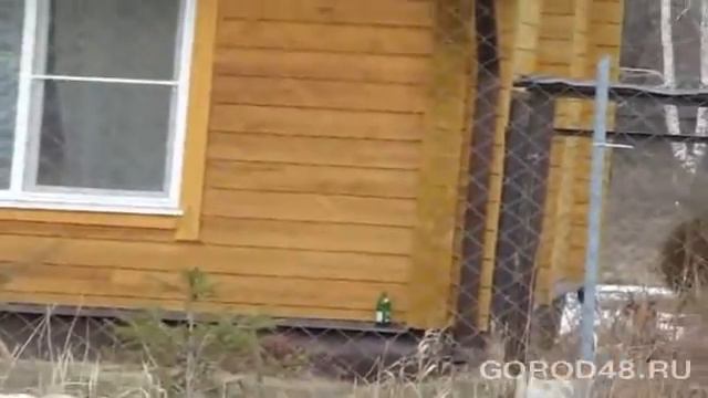 Ребенка загрызла собака смотреть онлайн