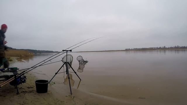 Трофейный лещ в ноябре на #фидер ловим на реке Лиелупе. смотреть онлайн