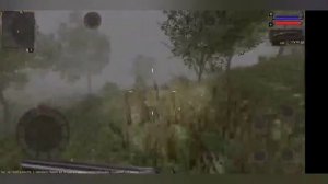 тайники в project stalker.