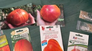 Самые вкусные томаты - биколоры, которые я выбрала на следующий год.