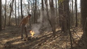 История Раст/Rust в реальной жизни