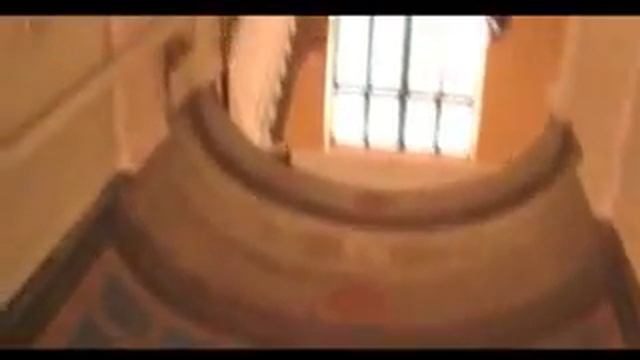Черновцы глазами туриста