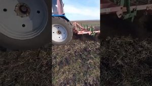 Безотвальная вспашка стерневым культиватором unia kos 3.0+ мтз 1221.2тр