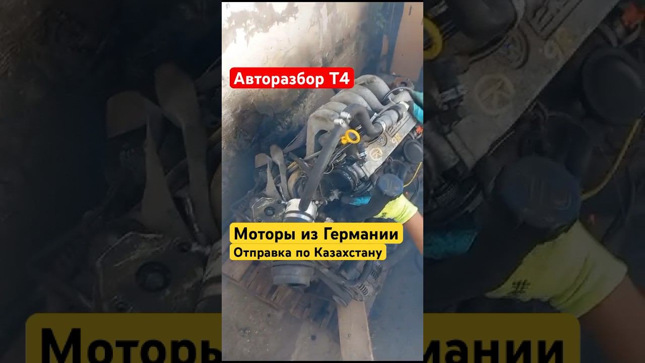 #shorts #авторазбор #бузапчасти #volkswagen #transportert4 +77783315477