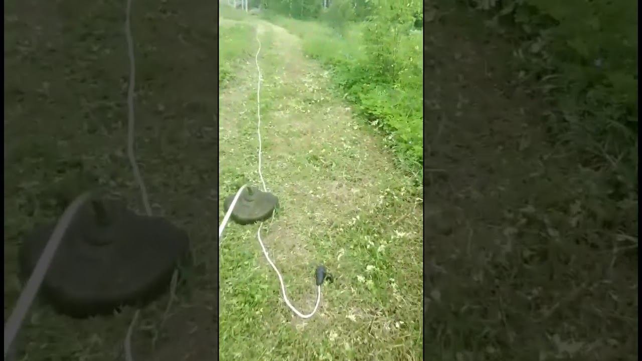 тропинка готова #природноеземледелие #мульчирование #дача #лето #garden #сад #природа