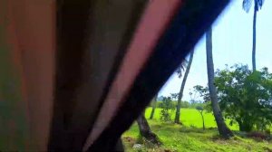 Holiday Inn Resort Goa | Cavelossim Beach | Resort full review | Goa Tamil | south goa | IHG Hotel