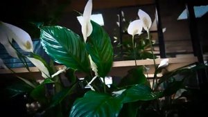 Как проходит рабочий день диспетчера компании Dispatch42 School