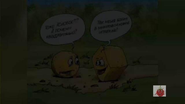 Анекдоты для взрослых в картинках.