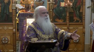 Первосвятительское слово после чтения Евангелия о расслабленном  20_03_2022.