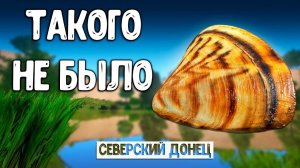 RF4 ТАКОГО У НАС ЕЩЕ НЕ БЫЛО НО ПОРА #рр4