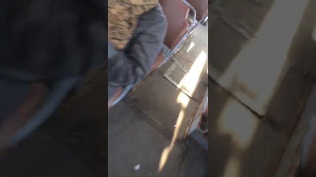 В Тралике по карте ЕТК Чебоксары смотреть онлайн