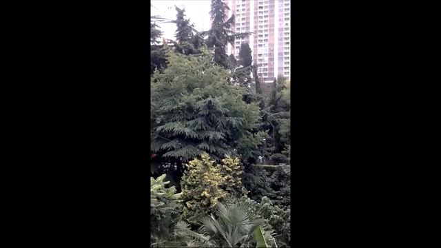 Квартиры в Сочи. ЖК "Аврора" по ул. Войкова, 27. Бизнес-класс
