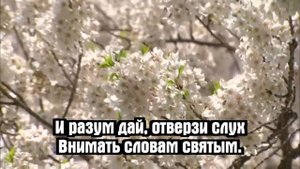Псалмы Сиона - Умолкни, суета забот