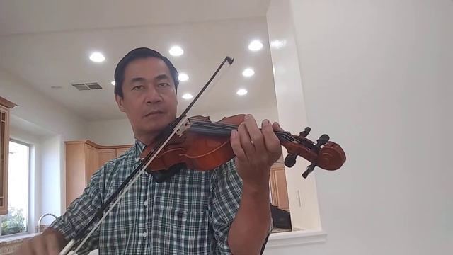 Japan song Castle in the sky 《天空之城》(violin)