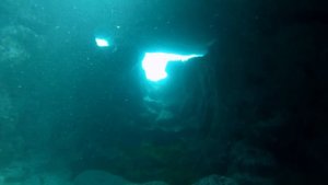 Дайвинг в Севастополе.  Голубая бухта