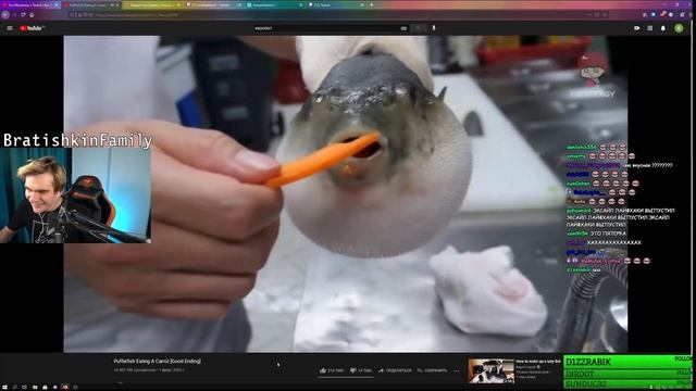 он смотрит как рыба фугу ест морковь.. смотреть онлайн