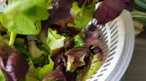 #свекла Как быстро запечь свеклу! Салат с запечённой свеклой, козьим сыром, зеленью и фруктами.