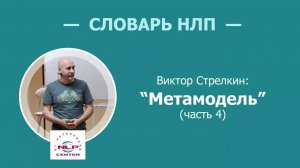 Словарь НЛП. Что такое метамодель? Часть 4 из 5. Виктор Стрелкин (2017 г.)