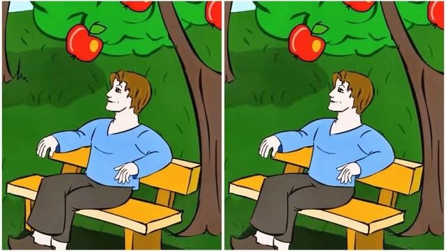 3 отличия.