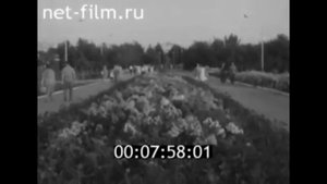 Михайловка Волгоградской области