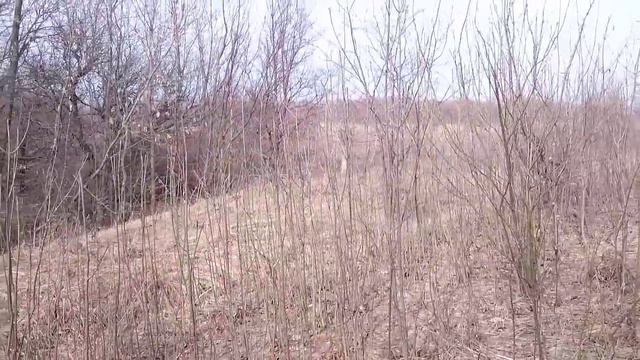 Ходили в поход в "Человеческий лес" Весна 2016 смотреть онлайн