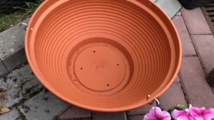 Подвесные кашпо для петунии делаем сами!