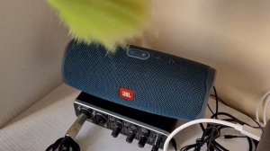 Как чистить колонки и ноутбуки от пыли быстро