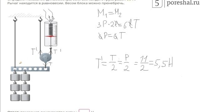 Вес каждого груза. Задание на показания динамометра. Определи показания динамометра. Вес груза по показаниям динамометра. Массой блока можно пренебречь.
