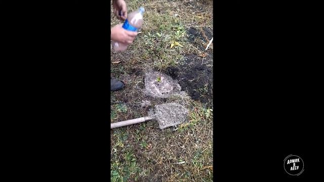 Малиновое дерево# малина# таруса# смотреть онлайн