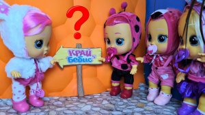 КРАЙ БЕБИС В ПОИСКАХ ПОДРУЖКИ? Край Бебис? Мэджик Тирс? CRY BABIES? Даринелка ТВ