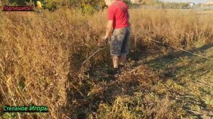 Триммер  На что Способен Триммер Электрический