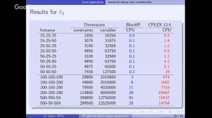 An Interior Point Solver for Large Block Angular Optimization Problems