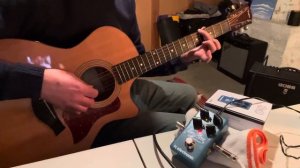 INFINITE Sample Sustainer from TC Electronic and an acoustic improvisation in open C