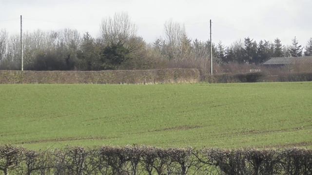 2024 East Riding Stages Rally | Richard Weaver & Jack Morris | Ford Fiesta R5 смотреть онлайн