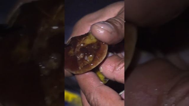 Готовим целебный отвар из корбикулы и грибной суп на природе смотреть онлайн