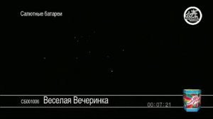 Салют ВеселаЯ вечеринка.mpg