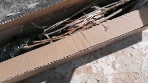 Отзыв клиента Агромаркет24. Распаковка заказа. Доставка Агромаркет24.