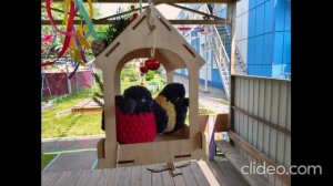 "Птицы Кузбасса" 11 группа